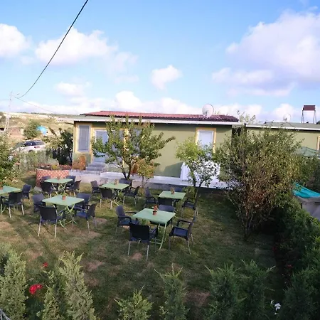 Forest Blue Gumusdere