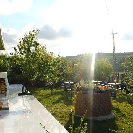 Hotel Forest Blue 3*