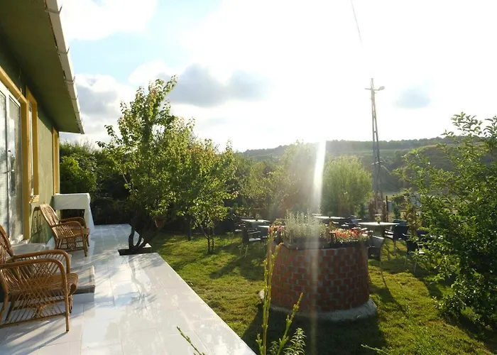 Отель Forest Blue 3*