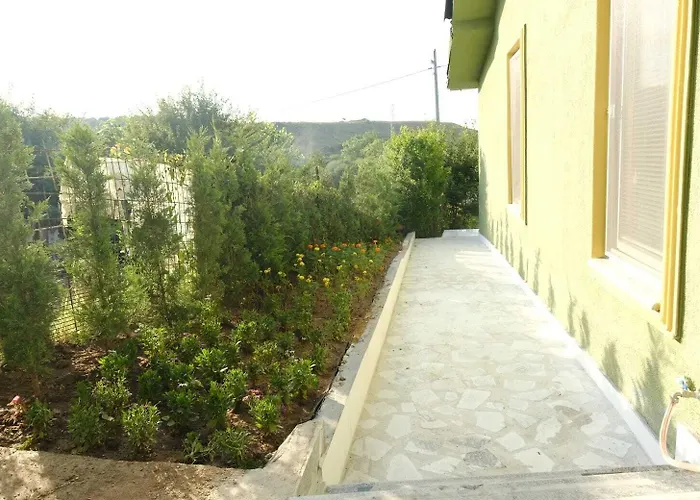 Forest Blue Отель