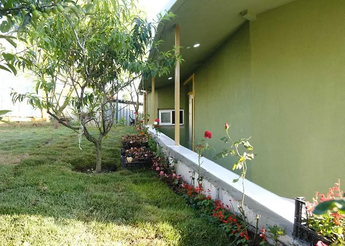 Forest Blue Отель 3*